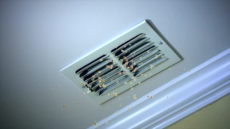 Best Home Air Vent Cleaning  in La Villa, TX