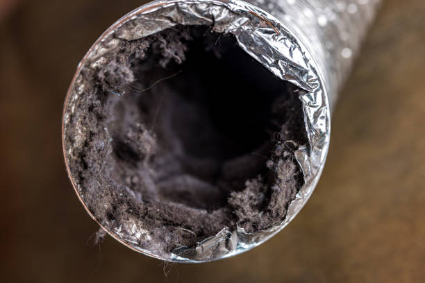 Best Ductwork Cleaning Services  in La Villa, TX
