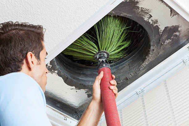 Best HVAC Duct Inspection Services  in La Villa, TX